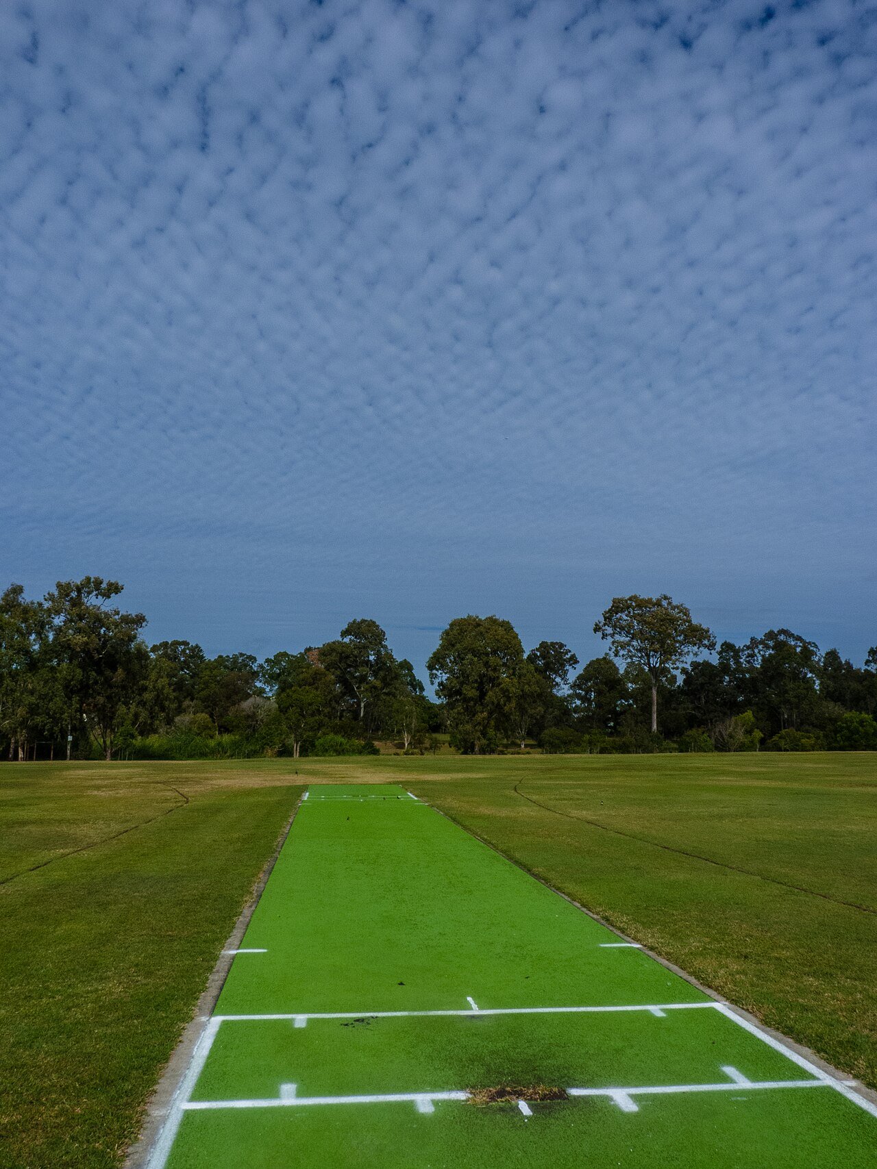 Representative image of a cricket pitch